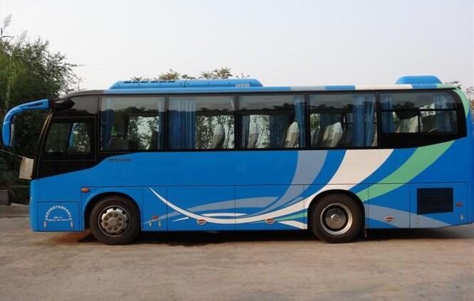 33-53��������� (BUS)